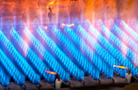 Preshome gas fired boilers